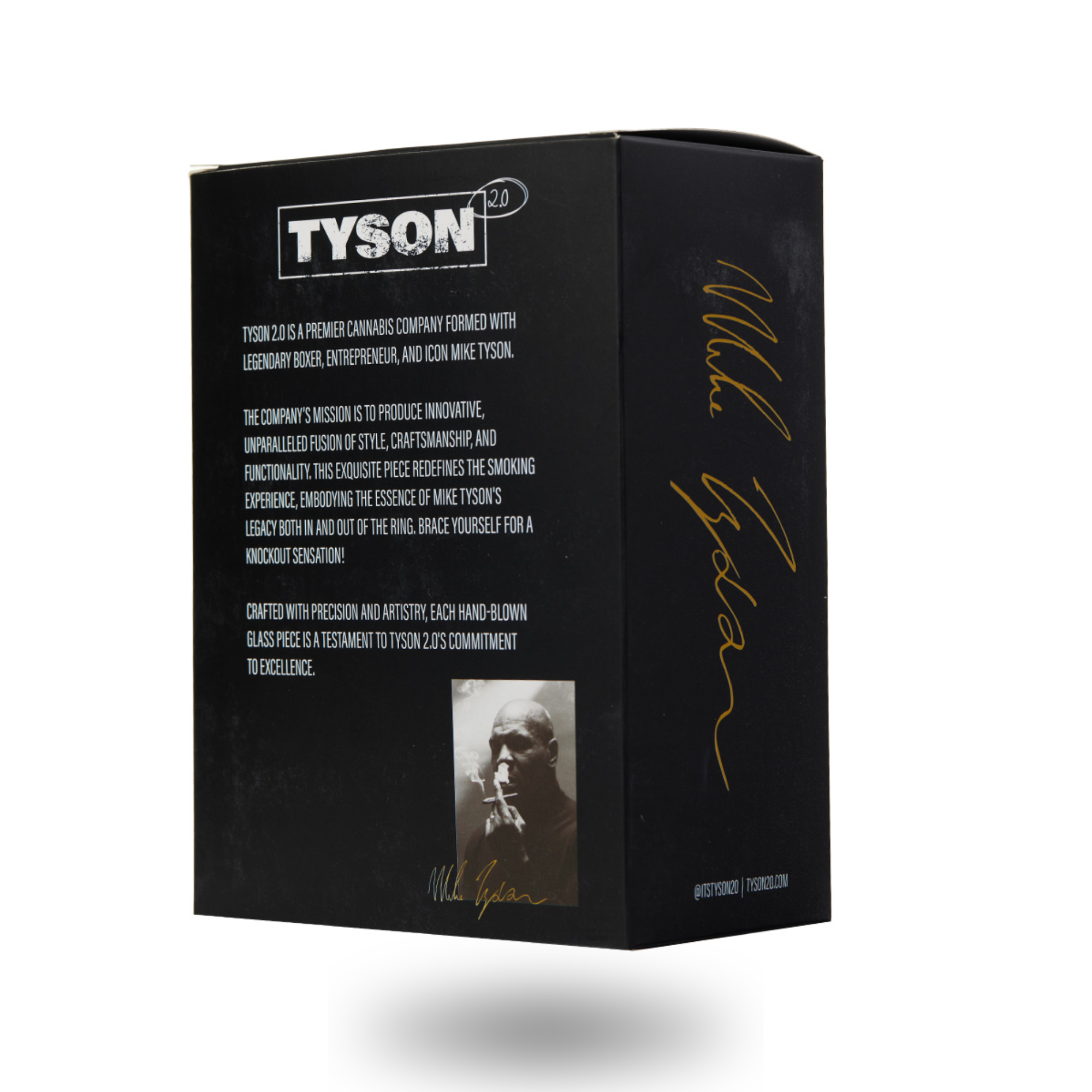 TYSON 2.0 - Knockout Dab Rig